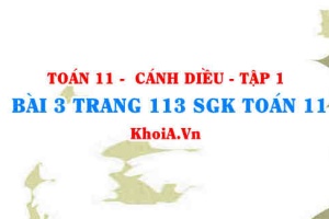 Bài 3 trang 113 SGK Toán 11 tập 1 Cánh Diều